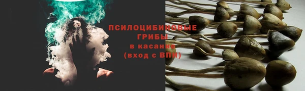 МДПВ Магас