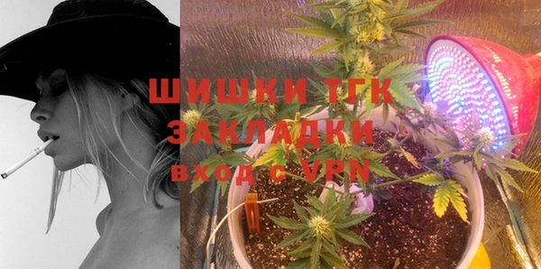 ECSTASY Майский