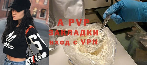 ECSTASY Майский