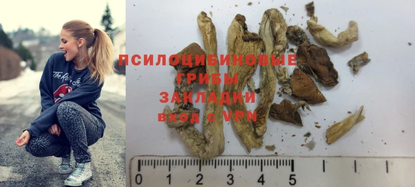 МДПВ Магас