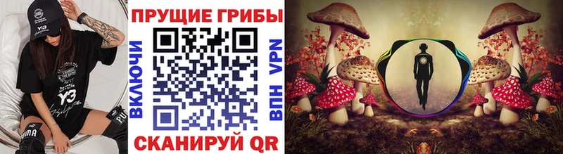 Псилоцибиновые грибы Cubensis  Североуральск 