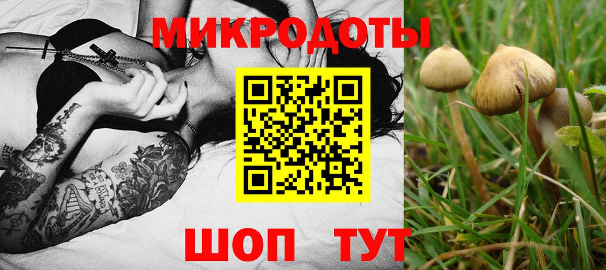 Североуральск  Псилоцибиновые грибы Cubensis  наркотики  Вход с VPN 
